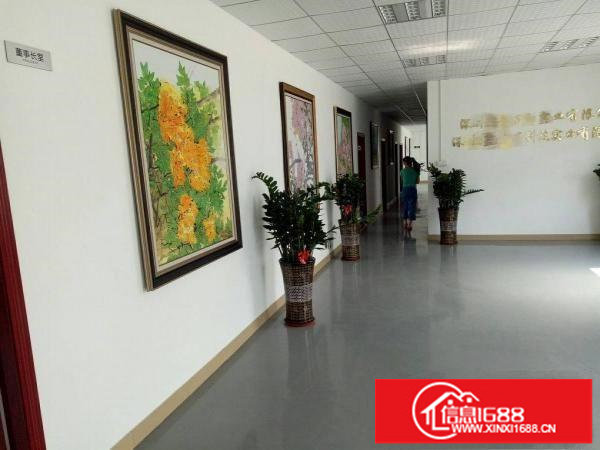 坑梓金沙精装修2600平米独院厂房出租