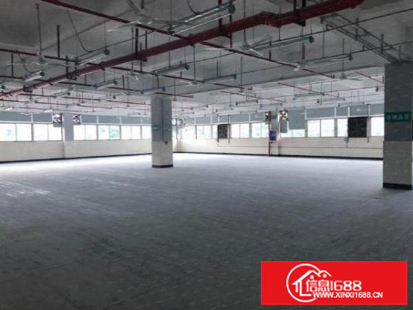 企石旧围村楼上1100平方厂房出租带装修、消防