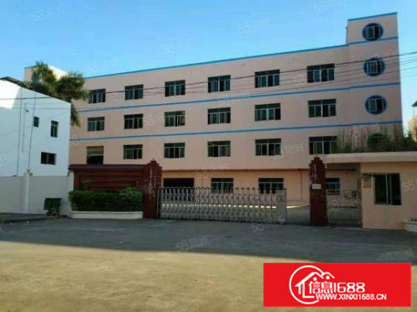 横沥镇原房东独门独院标准四层厂房8500平方招租