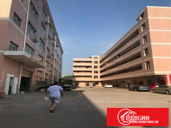 龙岗龙西一楼标准厂房1000平方米出租，带装修