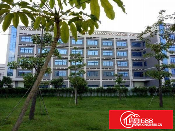 坪山田头市场厂房旁三楼厂房1300平米招租