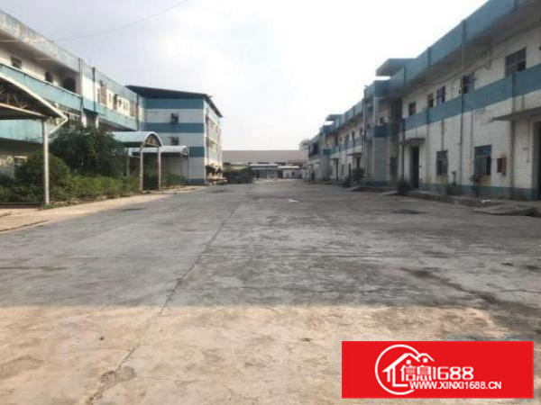 清溪大利带装修厂房大小分租100起分