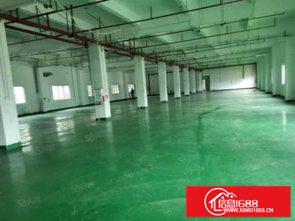 容桂1000平方厂房出租形象好带装修招工方便