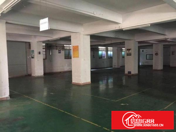 急租平湖大望工业区1400平厂房出租