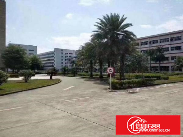 桥头东江村新出一楼1200平方厂房招租