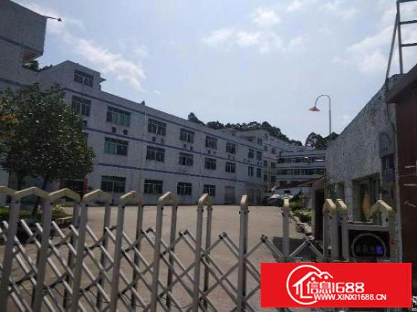 横岗安良原房东6000㎡独门独院厂房出租