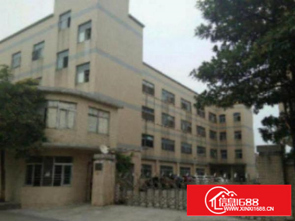 万江花园式厂房分租一楼800平方;价格便宜地段好工业地