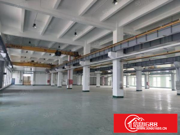 配电大，一楼4500方带航吊，层高8米，带污水处理，可办环评