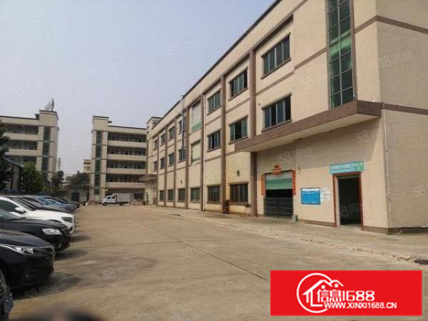 横沥新出楼上原房东1500平方实际面积出租带豪华装修无需转让