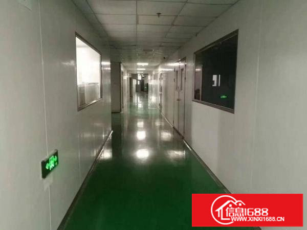 横岗六约沃尔玛附近新出楼上500平带精装修红本厂房出租