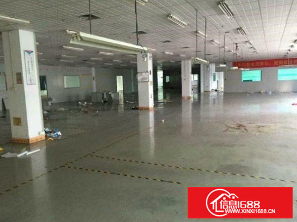 凤岗新出二楼厂房1350平方现成地坪漆的吊顶