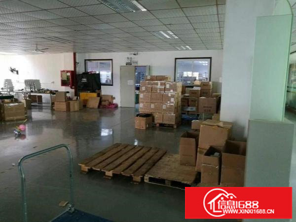 平湖新木新出1楼1500平方厂房急租