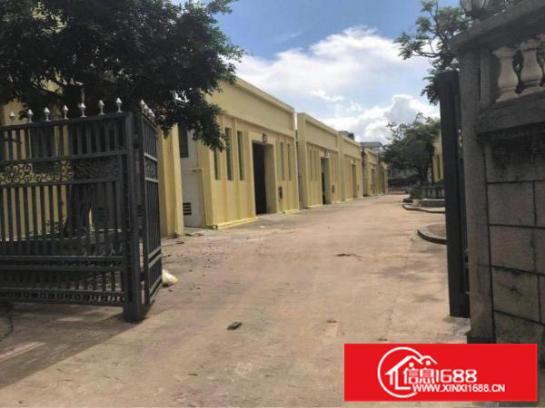 镇隆新出厂房工业园标准厂房四层5400平米，出租