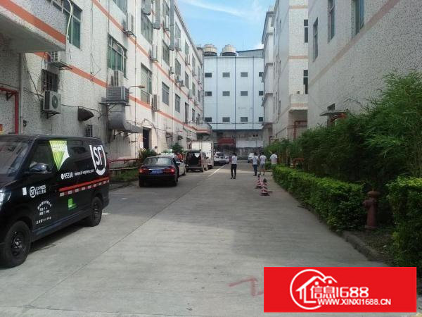 龙华龙观大道旁950平出租