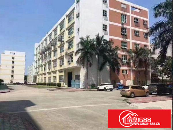 龙岗区坂田坂田文化广场附近一楼480平米带装修厂房出租