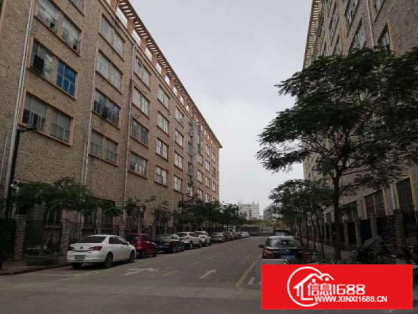 坪山高铁站附近新出楼上750平带装修出租3吨电梯