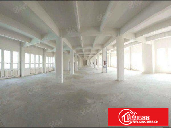 狮山全新工业园厂房招租，56000方，可分租，配套一应俱全