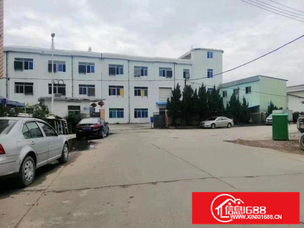 三天必租大沙村原房东独门独院4000平方厂房出租零公摊