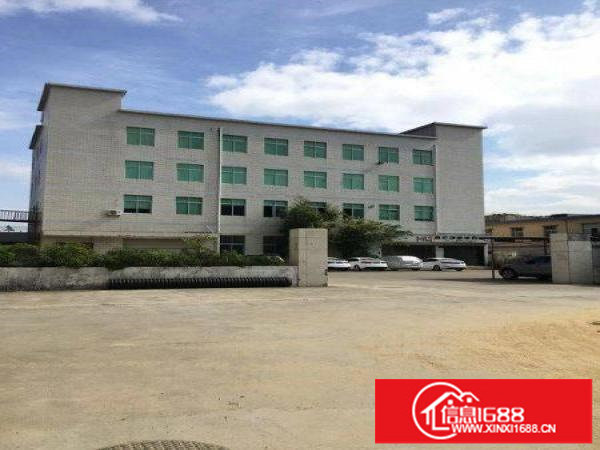 坪山坑梓标准一楼600平米出租，带红本可分租