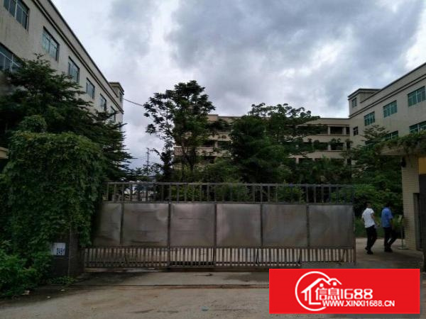 惠阳秋长1000平原房东我楼带装修厂房高6米空地大