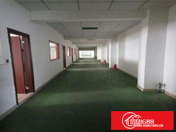 望牛墩独院单一层厂房,较偏可做各种行业