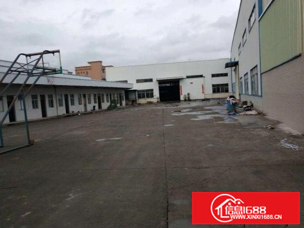 出租企石单一层钢构