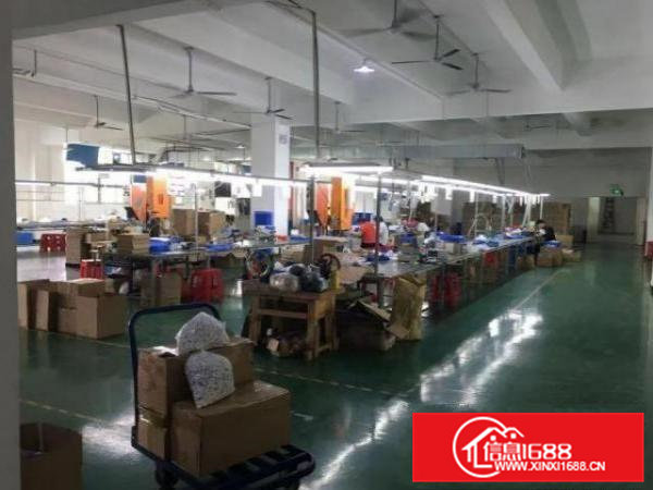 清溪长山头村二楼带装修600平方米厂房出租