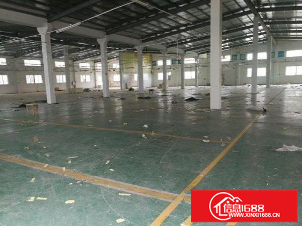 新圩独院钢构厂房面积3800平米，滴水8米高