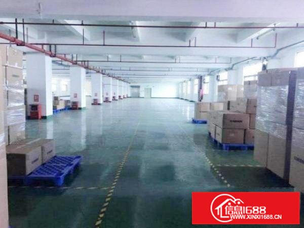 九江上东村新出1楼1000平精装修厂房分租