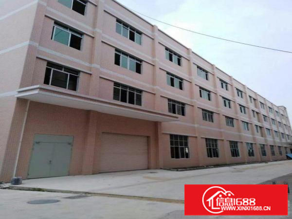 园洲镇原房东独院厂房出租可分租工业用地包办环评