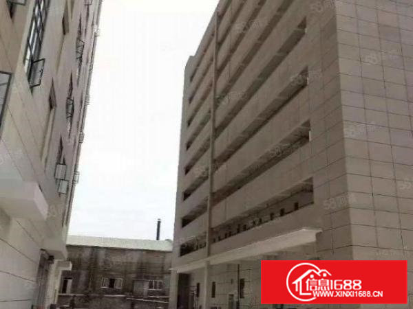 带环评！大岭山镇自用标准环保厂房分租带电梯形象超好位置佳