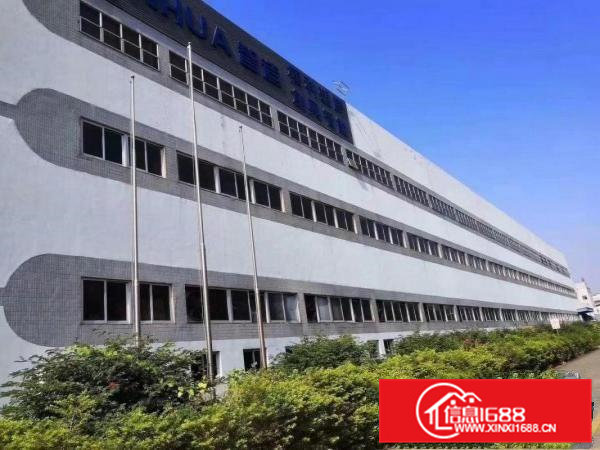 虎门沿江高速和广深高速之间免租期12个月的厂房出租啦