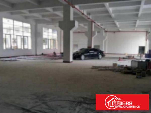 高埗环城路外适合重型工业厂房一楼楼500-1000平，带牛角