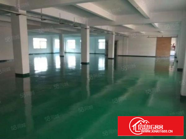 万江新出500~1000平带全新地坪漆出租(交通方便易招工)