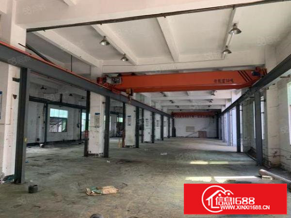 清溪大利原房东独门独院厂房4500平方出租带现成水电装修