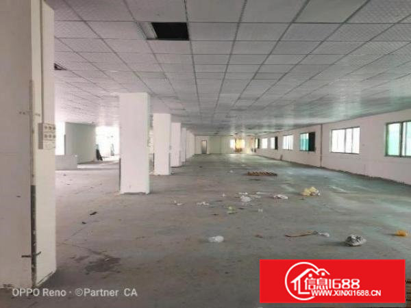 寮步镇工业厂房顶楼1800㎡底价9.8元/㎡·月出租