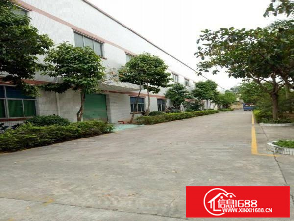 惠阳区新圩长布高速出口10米高带行车钢构2300平