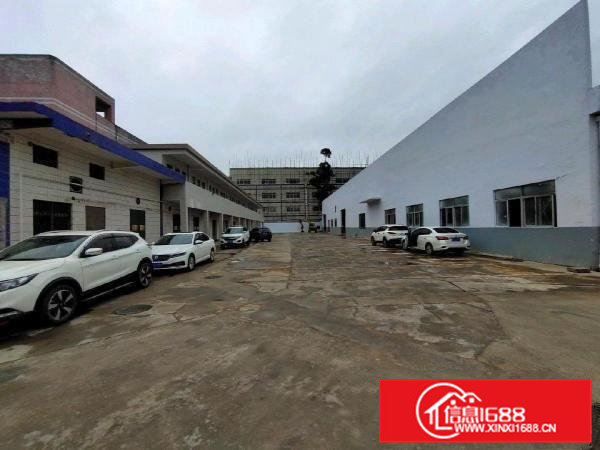 清溪三中原房东单一层7米高独门独院厂房出租可分两独院