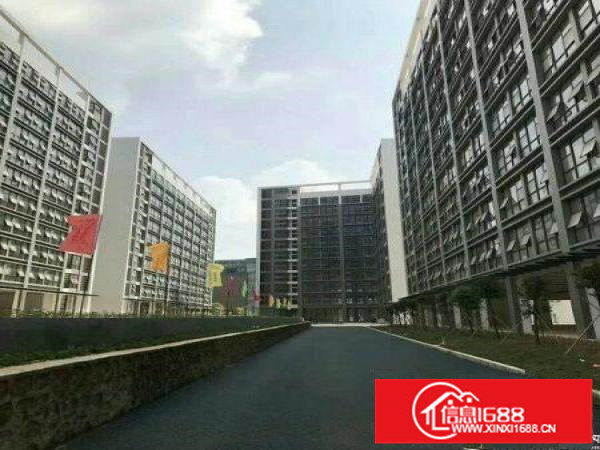 龙岗150000平方米全新红本园区厂房出租可分租