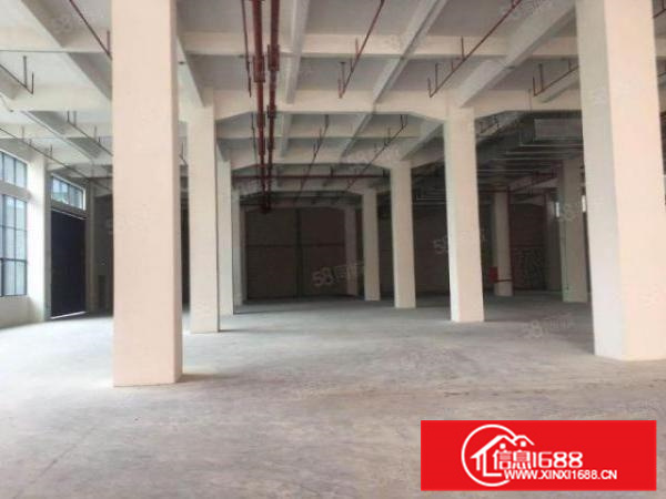 龙江三旧新建标准，一楼高度8米，楼上5.5米，红本，可办环评