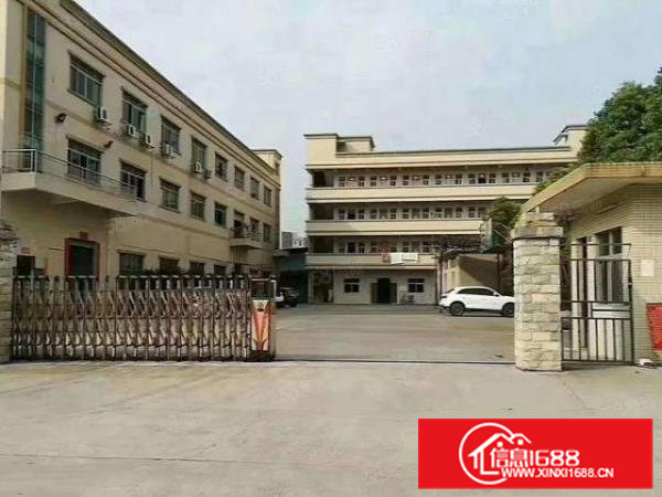 大岭山中心工业区楼上整层1360平方精装修