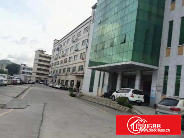 3楼整层分租出来的。有550个平方，厂房方正，有一个办公室。