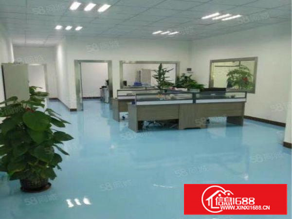 黄江镇中心新出楼上带无尘车间整层厂房1350平米