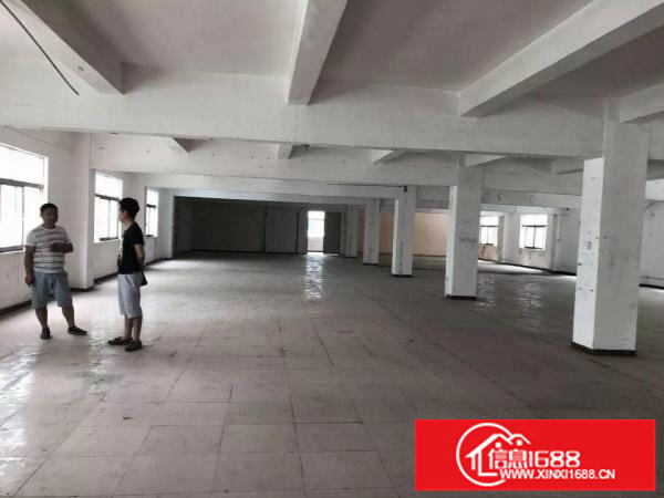 业主独院整层3000平米厂房仓库出租