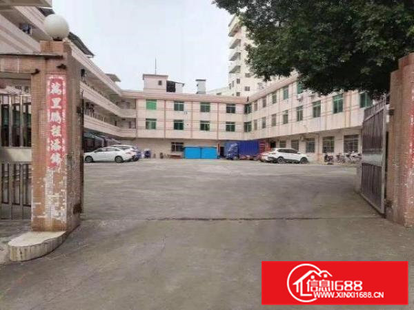 出租桥头桥头城区原房东一楼1000平空地大交通方便适合各种行