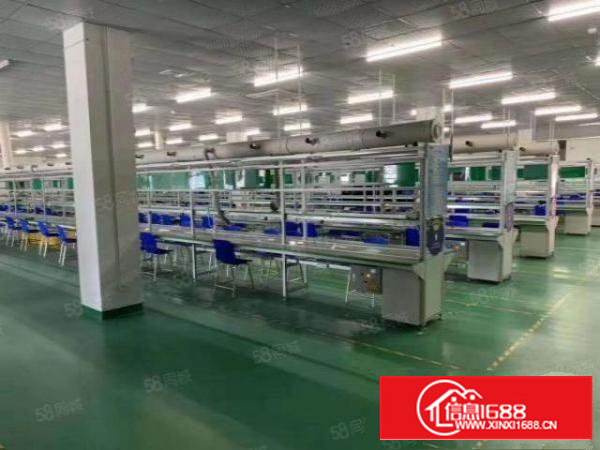 寮步竹园村独栋超大气标准厂房1800米带地坪漆豪华办公室