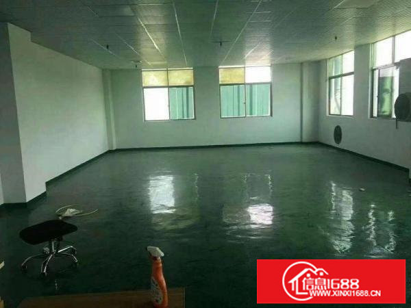 楼村新出楼上500平带装修厂房