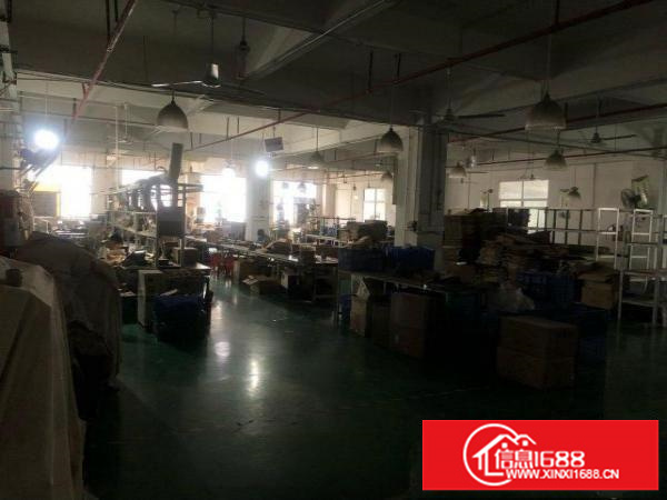 上李朗科技园厂房300平米可做生产车间可做仓库