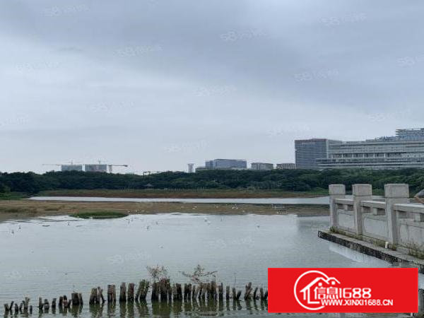 松湖全新精装科创园年前可用500平米起分租