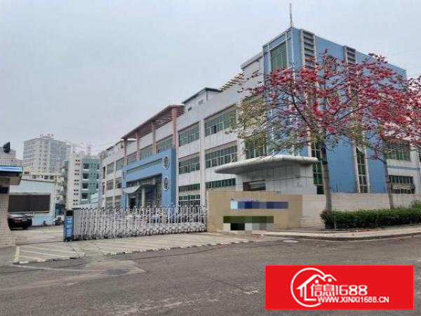 直对房东，出租长安沙头建安路边一楼楼上带精装修厂房！